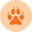 General