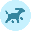 Puppy Care