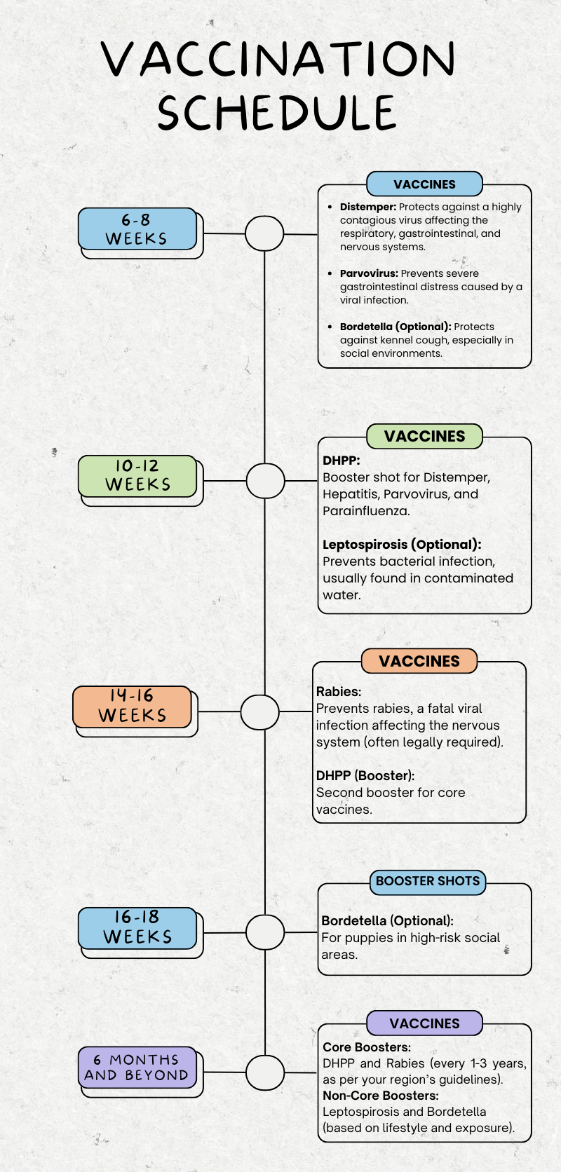 Dog vaccination Schedule