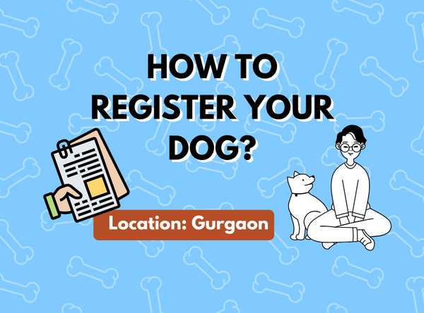 Dog Registration Gurgaon: Process, Fees, &  Benefits Explained