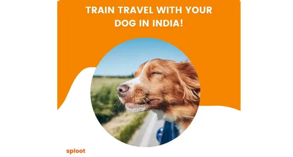 How to Travel with Dog in Train: A Complete Guide