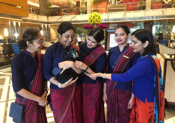 Best Pet Friendly Hotels in Delhi: Great Choices for All Budgets
